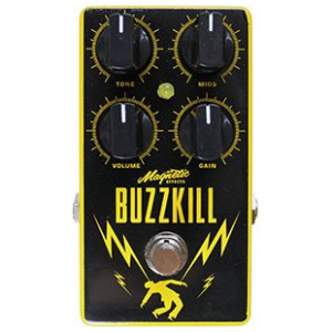 Magnetic Effects Buzzkill