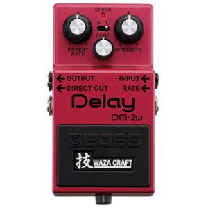 Boss DM 2W Delay