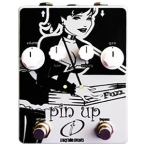 Crazy Tube Circuits Pin Up
